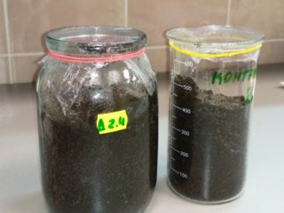 Тест острой токсичности с искусственной почвой