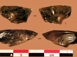 Сколы из обсидиана, обнаруженные в Мезмайской пещере. Источник: Екатерина Дороничева