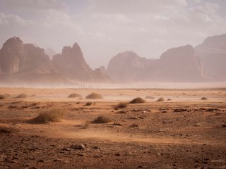 Как изменилась северная пустыня? Источник: Juli Kosolapova / Фотобанк Unsplash 