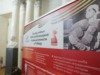 Конференция «Сельскохозяйственная наука в годы Великой Отечественной войны: вклад в Победу». Фото: Ольга Мерзлякова / Научная Россия