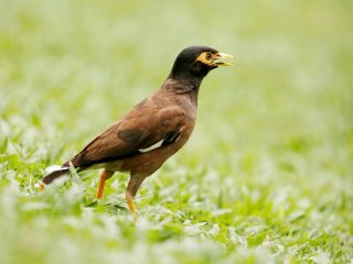 Фото: inspirestock/Фотобанк RU.123RF