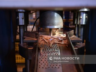 Фото: © РИА Новости / Павел Лисицын