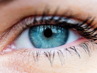 Фото: rawpixel/Фотобанк RU.123.RF