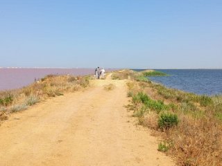 Озеро Сасык-Сиваш. Фото предоставлено Ольгой Решетниковой