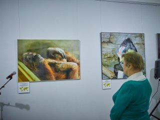 Фото: Елена Либрик / Научная Россия