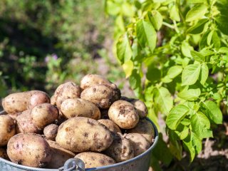 Источник фото: ru.123rf.com