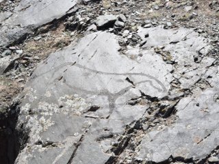 Вид на плоскость с изображением лошади. Бага-Ойгур-5. Фото Л.В. Зоткиной