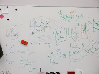 В лаборатории физико-химии биомембран биологического факультета МГУ. Фото: Ольга Мерзлякова / «Научная Россия»