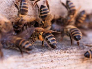 Фото: Фотобанк Freepik