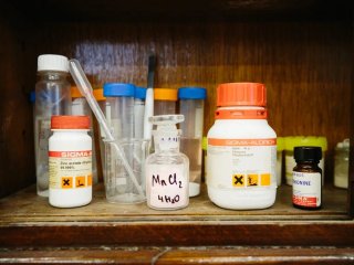 Фото Ольги Мерзляковой