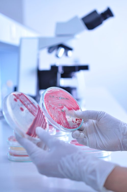 Источник ru.123rf.com