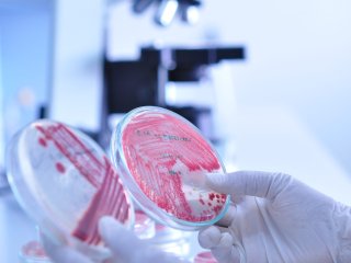 Источник ru.123rf.com