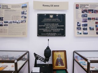 Фото: Ольга Мерзлякова / «Научная Россия»