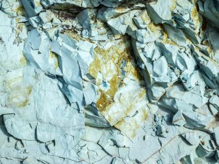 Источник фото: osr72 / ru.123rf.com