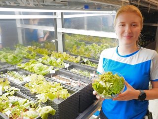 У участников эксперимента была своя оранжерея. Фото: Рустам Зарипов / SIRIUS-23 ИМБП РАН