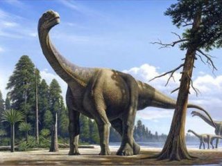 Следы динозавров нашли в Шотландии