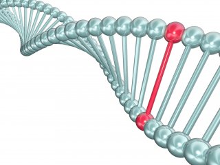 Впервые обнаружена генная мутация, напрямую связанная с рассеянным склерозом