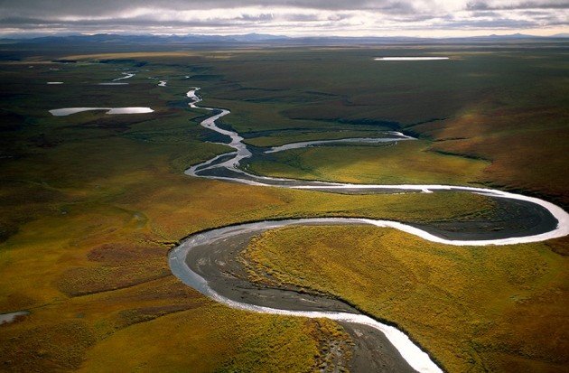 Поймы арктических рек содержат неожиданно много углерода