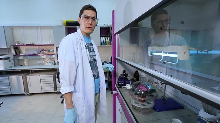Канал «Наука» покажет премьеру флагманского проекта «Бактерии» на всероссийском фестивале NAUKA 0+