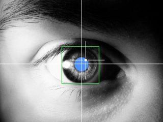 Ученые обнаружили новые связи между движением глаз и принятием решений