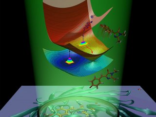 Химики МГУ объяснили природу излучения зеленого флуоресцентного белка