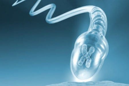 Ученые МГУ запатентовали новый метод стимуляции сперматогенеза