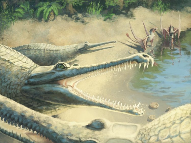 Ископаемые останки, найденные 250 лет назад, принадлежат крокодилу юрского периода