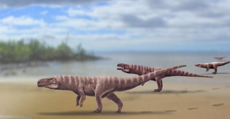 Некоторые древние крокодилы ходили на двух ногах, как динозавры