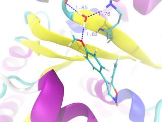 Ученые факультета химии НИУ ВШЭ открыли новую противораковую молекулу