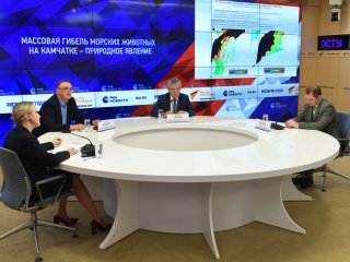 Ситуация на Камчатке: пресс-конференция ученых РАН в МИА "Россия сегодня"…