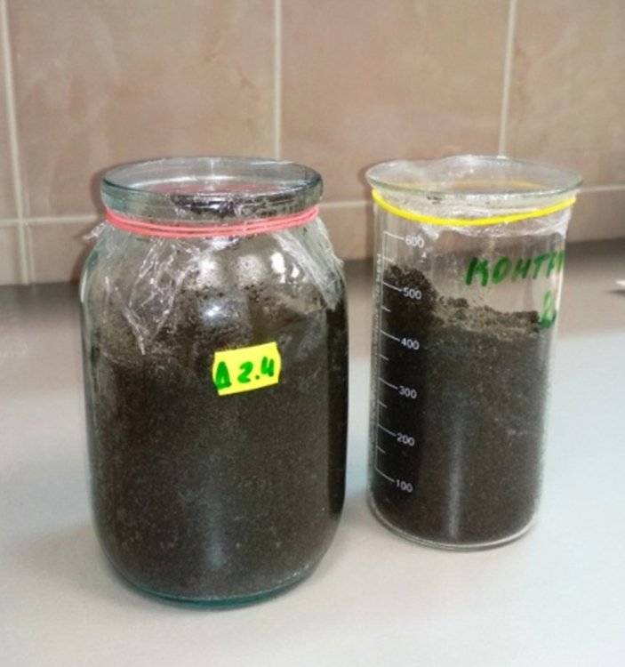 Тест острой токсичности с искусственной почвой