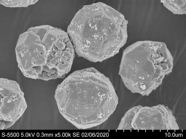 Цирконий-анальцимовые сферолиты. Изображение со сканирующего электронного микроскопа получено в ЦКП КНЦ СО РАН