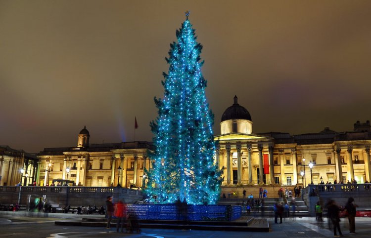 Новогодняя елка в Лондоне