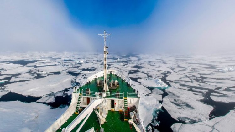 Жизнь за полярным кругом: что мы знаем об Арктике?
