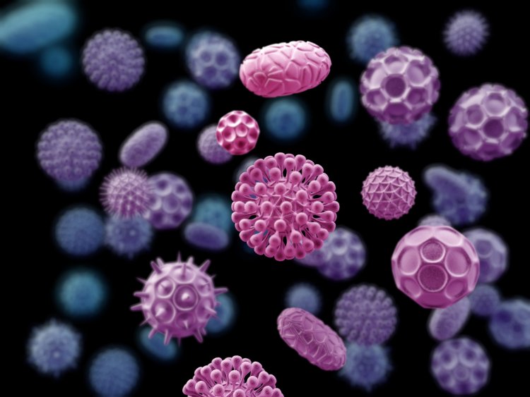 Бактерии. Источник изображения: ru.123rf.com
