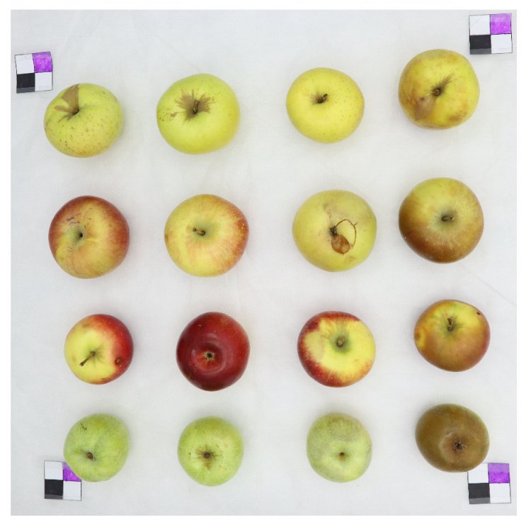 Яблоки, использованные для сбора данных. Источник: Никита Стасенко и соавторы