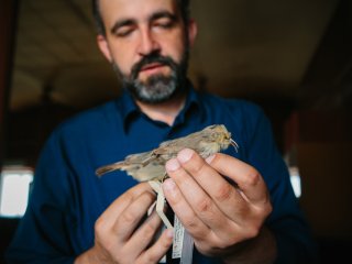 Орнитолог Павел Смирнов в Зоологическом музее МГУ. Фото: Ольга Мерзлякова / «Научная Россия»