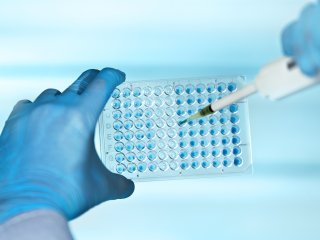 Источник фото: ru.123rf.com