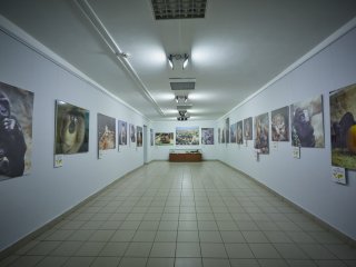 Фото: Елена Либрик / Научная Россия