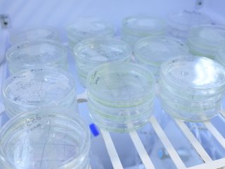 Живые реликты, механика памяти и эволюция нервной системы. Студенческий тур в ИВНД и НФ РАН. Фото: Николай Малахин / «Научная Россия»