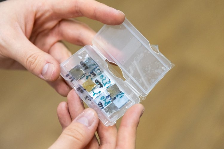 Образцы солнечных ячеек после испытаний на устойчивость к радиации: в УрФУ новые материалы отправляются из ФИЦ ПХФ и МХ РАН для проверки свойств и стойкости.Фото: Родион Нарудинов / пресс-служба УрФУ