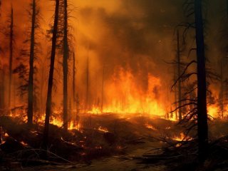 Изображение: alexrooss/Фотобанк RU.123.RF