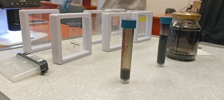 Графеновые чернила, образцы гибких электронных компонентов. Фото Надежды Дмитриевой