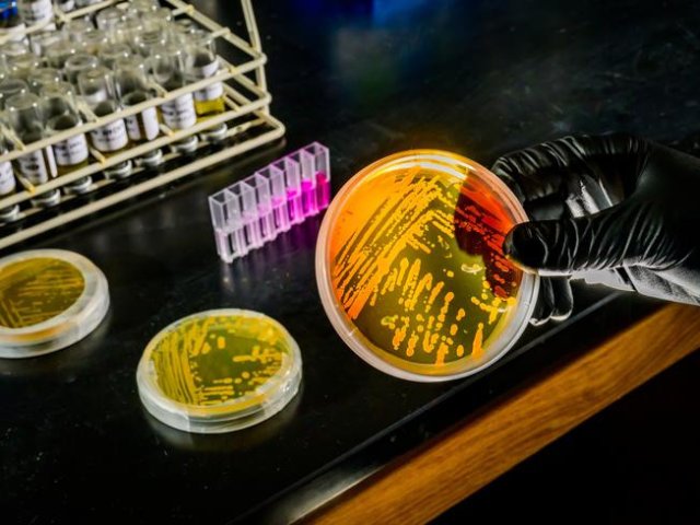 Исследовательская группа из Иллинойсского университета в Урбане-Шампейне прогнозирует, что вид морских архей сыграет важную роль в изменении биоразнообразия Мирового океана. Фото: Fred Zwicky/University of Illinois at Urbana-Champaign, News Bureau