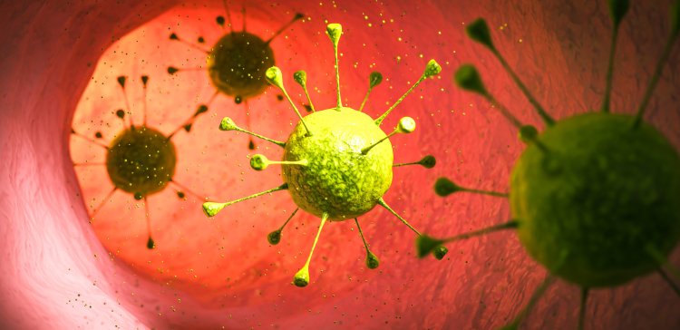 Обнаружен&nbsp; регулятор вирулентности возбудителя диареи