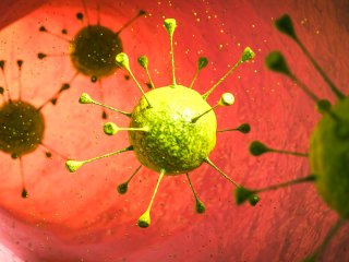 Обнаружен регулятор вирулентности возбудителя диареи. Фото: Freepik.com