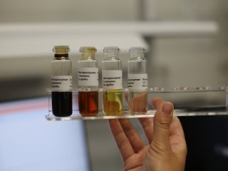 Цифровая модель ученых Губкинского университета позволит снизить потери при разработке месторождений. Фото: Александр Бурмистров / Научная Россия