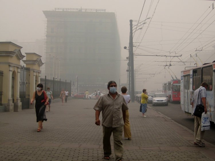 Москву может затянуть дым от торфяников