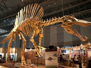 Спинозавр — плавающий хищник-гигант