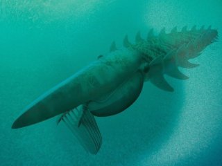 Древнее гигантское членистоногое питалось планктоном
